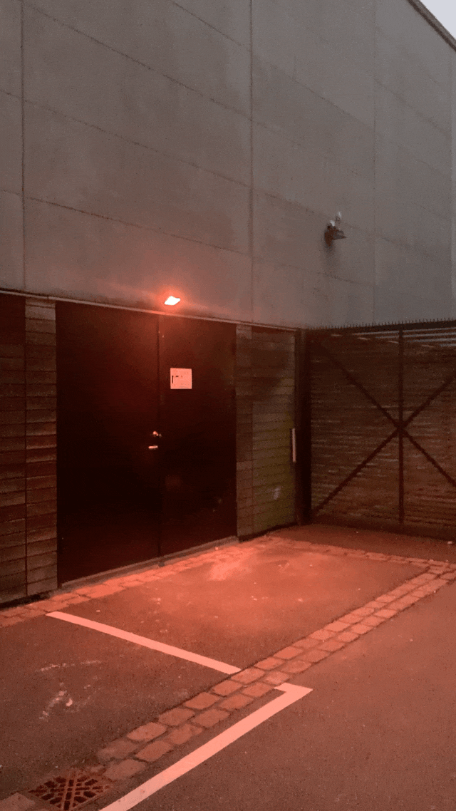 IMG_1817.gif